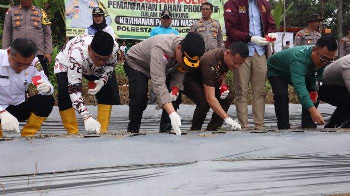 Polresta Tanjungpinang melaksanakan kegiatan penanaman serentak di wilayah Polsek Tanjungpinang Kota, tepatnya di Jalan Daeng Celak, Sei Ladi, RT 2 RW 3, Kelurahan Kampung Bugis, Kecamatan Tanjungpinang Kota, Rabu (20/11/2024) f.Polresta Tanjungpinang