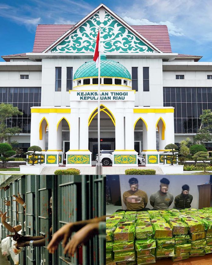 Kejaksaan Tinggi Kepulauan Riau (Kejati Kepri) telah menyatakan berkas perkara narkotika atas nama RM, SD, dan GV, tiga warga negara India yang ditangkap pada 13 Juli 2024, lengkap (P-21). F, Kejati Kepri