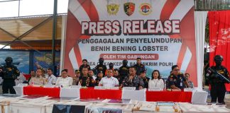 Tim Gabungan Berhasil Gagalkan Penyelundupan 151.000 Benih Bening Lobster Senilai Rp7,5 Miliar Tim Satgas Gabungan yang terdiri dari Kanwil DJBC Khusus Kepulauan Riau, Mabes Polri, dan Lantamal IV Batam berhasil menggagalkan penyelundupan Benih Bening Lobster (BBL) yang diduga akan dibawa ke luar negeri secara ilegal. F, Danlantamal IV