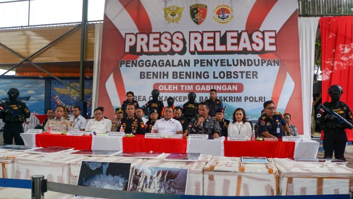 Tim Satgas Gabungan yang terdiri dari Kanwil DJBC Khusus Kepulauan Riau, Mabes Polri, dan Lantamal IV Batam berhasil menggagalkan penyelundupan Benih Bening Lobster (BBL) yang diduga akan dibawa ke luar negeri secara ilegal. F, Danlantamal IV