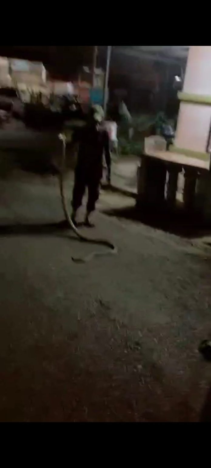 Warga Perumahan Mahkota Alam Raya digegerkan dengan penemuan seekor ular King Kobra yang melintas di area perumahan pada Sabtu malam (15/2/2025). f, tangkapan layar dari video warga