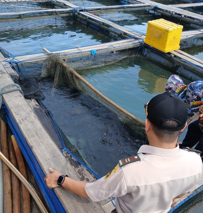 Badan Karantina Indonesia (Barantin) melalui Karantina Kepulauan Riau (Karantina Kepri) berhasil memfasilitasi ekspor ikan kerapu hidup sebanyak 1.600 ekor, terdiri dari 1.300 ekor kerapu dan 300 ekor kerapu sunu, dengan nilai ekonomi mencapai Rp70 juta ke Singapura f, Karantina