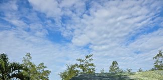 Pasca-Retret di Akmil Magelang, Wali Kota Tanjungpinang Siap Terapkan Ilmu untuk Pembangunan Daerah Wali Kota Tanjungpinang, Lis Darmansyah, memberikan kesan mendalam atas pelaksanaan retret kepala daerah yang diselenggarakan oleh Presiden Republik Indonesia, Prabowo Subianto, di kompleks Akademi Militer (Akmil) Magelang, Jawa Tengah, pada 21 hingga 28 Februari 2025. F, kiriman untuk BI