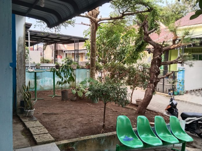 Tidak perlu pohon besar, tanaman kecil seperti pohon buah, tanaman hias, atau pohon peneduh seperti trembesi atau mangga sudah cukup memberikan manfaat. F, BI