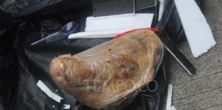 Teror Kebebasan Pers, Tempo Mendapat Kiriman Kepala Babi Kantor Tempo mendapat kiriman kepala babi (19/2025) f, tempo