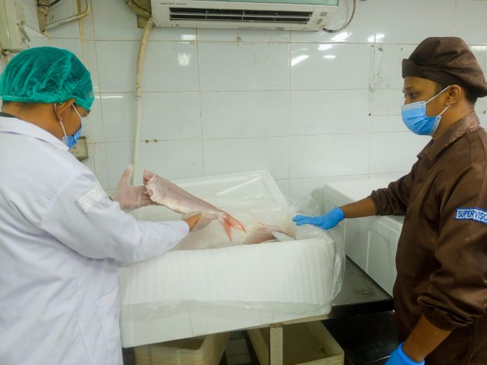 Badan Karantina Indonesia (Barantin), melalui Balai Karantina Hewan, Ikan, dan Tumbuhan Kepulauan Riau (Karantina Kepri) di Satuan Pelayanan Bandara Raja Haji Fisabilillah (Satpel RHF) Tanjungpinang, berhasil memfasilitasi ekspor perdana ikan anggoli (Pristipomoides sp.) ke Hawaii, Amerika Serikat f, karantina Kepri