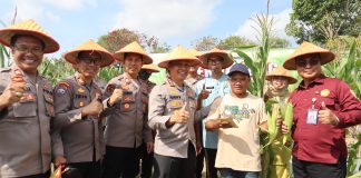 Sukses Panen Raya Jagung, Kapolresta Tanjungpinang dan Kelompok Tani Maju Sejati Pacu Swasembada Pangan 2025 Kapolresta Tanjungpinang, Kombes Pol Hamam Wahyudi, memimpin kegiatan panen raya jagung bersama Kelompok Tani Maju Sejati di lahan pertanian yang terletak di Jl. Nusantara Rt 02, Rw 06, Km. 15, Kelurahan Air Raja, Kecamatan Tanjungpinang Timur, Kota Tanjungpinang, Selasa (4/3/2025). F, Polresta Tanjungpinang