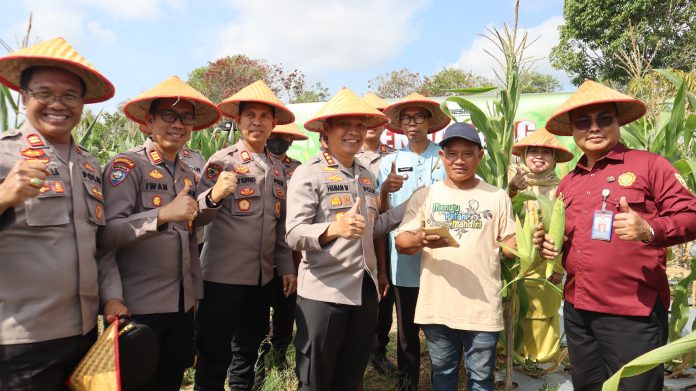 Kapolresta Tanjungpinang, Kombes Pol Hamam Wahyudi, memimpin kegiatan panen raya jagung bersama Kelompok Tani Maju Sejati di lahan pertanian yang terletak di Jl. Nusantara Rt 02, Rw 06, Km. 15, Kelurahan Air Raja, Kecamatan Tanjungpinang Timur, Kota Tanjungpinang, Selasa (4/3/2025). F, Polresta Tanjungpinang