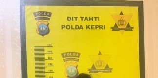 Polda Kepri Gagalkan Pengiriman PMI Ilegal ke Malaysia di Pelabuhan Batam Center Subdit IV Ditreskrimum Polda Kepri kembali berhasil menggagalkan upaya pengiriman Pekerja Migran Indonesia (PMI) ilegal ke Malaysia. Dua calon PMI non-prosedural diamankan saat hendak diberangkatkan melalui Pelabuhan Internasional Batam Center, Rabu (21/5/2025). F, Polda Kepri