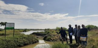 Lelang Aset Benny Tjokrosaputro Capai Rp4,5 Miliar, Disetorkan ke Kas Negara Tim Badan Pemulihan Aset melaksanakan lelang barang sitaan eksekusi milik terpidana Benny Tjokrosaputro, Senin (26/5/2025), f, Kejagung