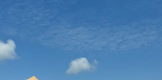 Dukung Ketahanan Pangan Nasional, Kejati Kepri dan Kejari Batam Tanam Jagung di Rempang Kejaksaan Tinggi Kepulauan Riau (Kejati Kepri) bersama Kejaksaan Negeri Batam (Kejari Batam) melaksanakan kegiatan penanaman jagung di Kelurahan Rempang Cate, Kecamatan Galang, Kota Batam, Rabu (28/5/2025). F, Kejati Kepri