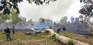 Kebakaran Lahan di Desa Marok Tua, Polsek Singkep Barat Laksanakan Monitoring dan Penanganan Ket foto : Kebakaran Lahan di Desa Marak Tua Kecamatan Singkep Barat Kabupaten Lingga f, Polsek Singkep Barat