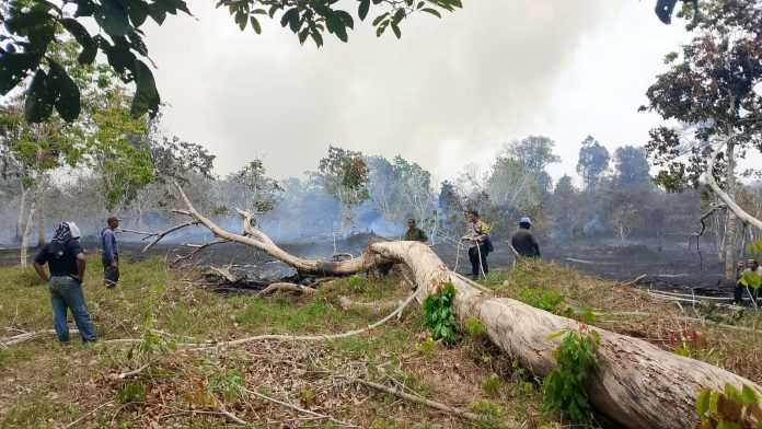 Ket foto : Kebakaran Lahan di Desa Marak Tua Kecamatan Singkep Barat Kabupaten Lingga f, Polsek Singkep Barat